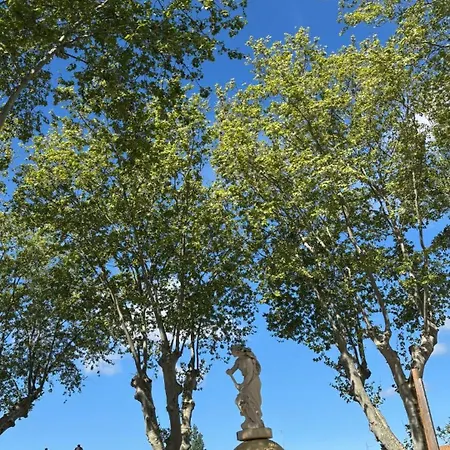 L'appart Saint-sever Appartamento Agde